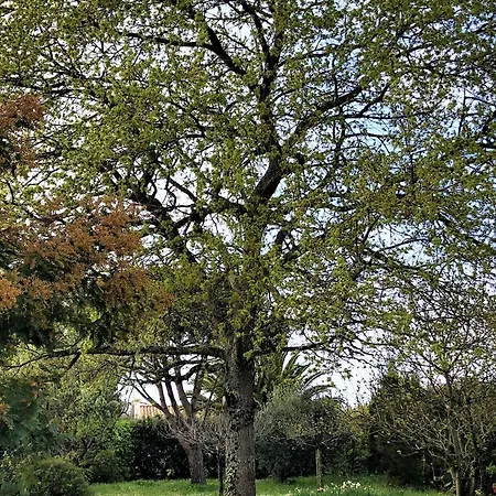Charmante Maison Xixe A Saint-georges D'oleron, Equipements Modernes, 6 Couchages - Fr-1-246a-344 Prázdninový dům