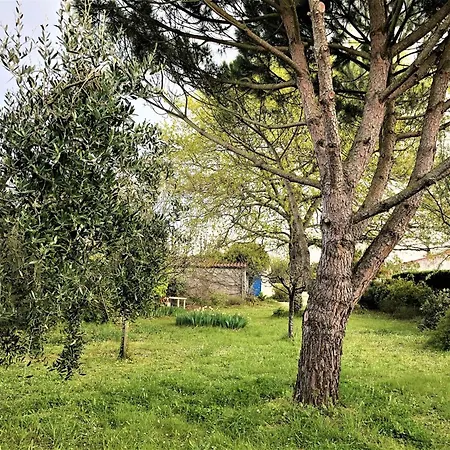 בית נופש Charmante Maison Xixe A Saint-georges D'oleron, Equipements Modernes, 6 Couchages - Fr-1-246a-344 סן-ג'ורג'-דולרו